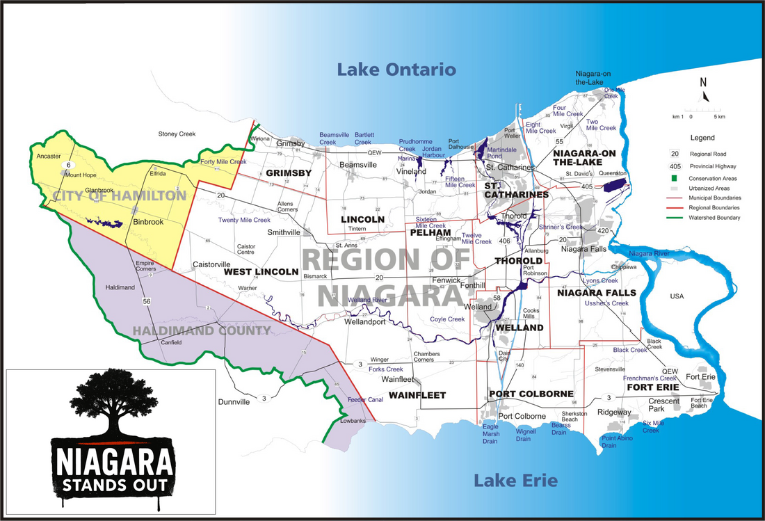 Best Time to Visit Niagara Falls, Canada: A Guide to Boosting Local Bu
