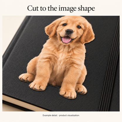 Illustrative close-up of a puppy photo sticker with a cut contour following the image; product visualisation.