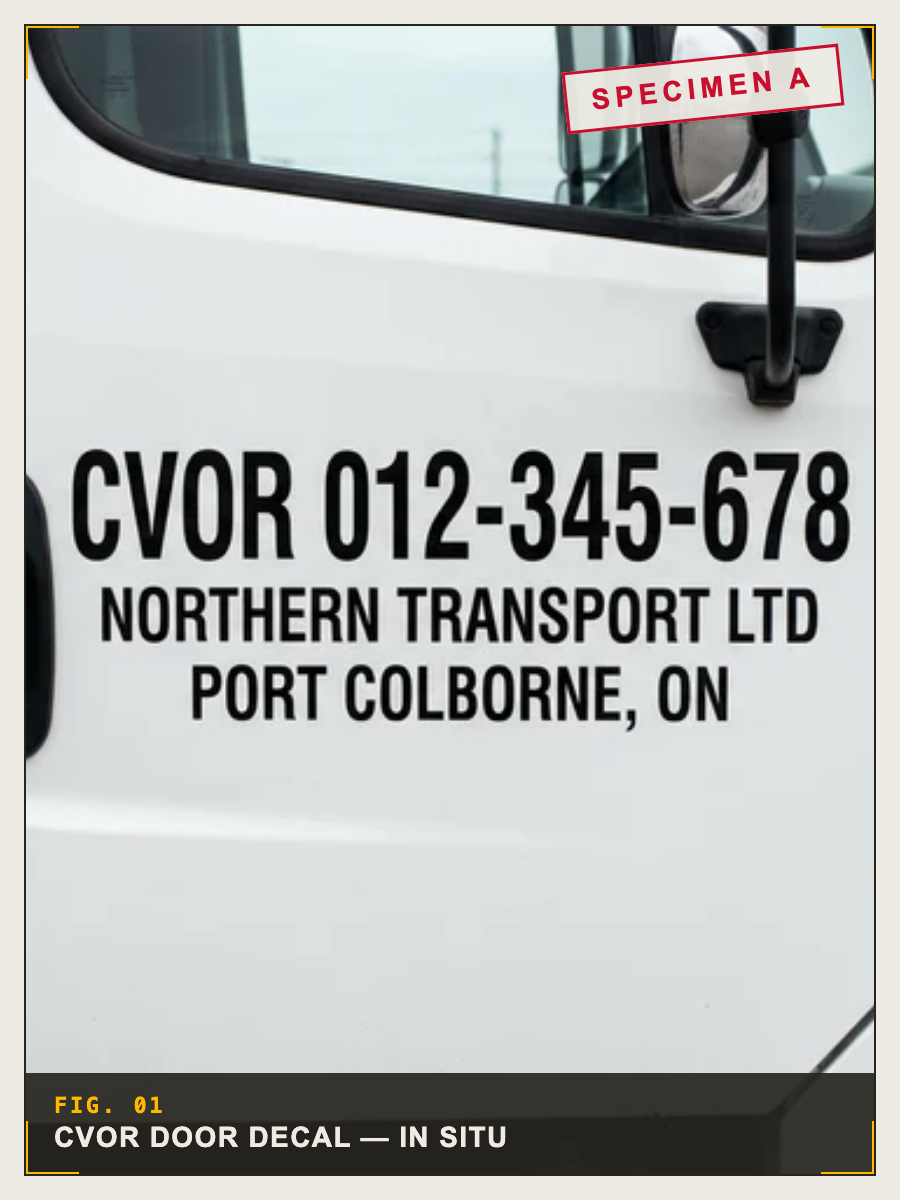 cvor   8b6b75c6