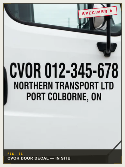 cvor   8b6b75c6