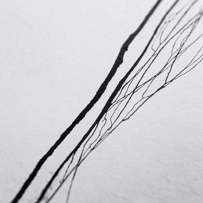 Close-up of crisp black ink line detail on matte poster paper