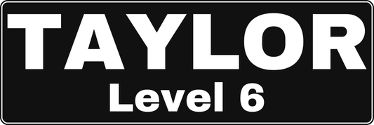 Example white printed name-label artwork: TAYLOR, Level 6; 3 by 1 inch finished label.